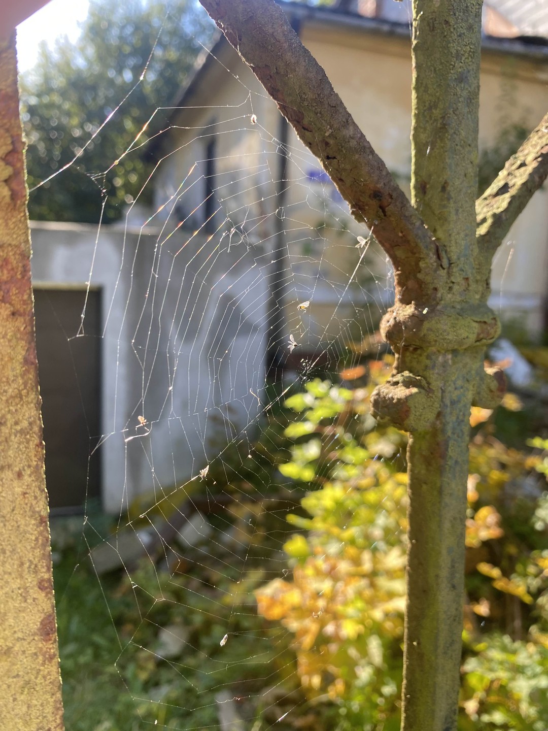 Два часа удовольствия: от картинки перед глазами, от истории, историй, легенд и воспоминаний.