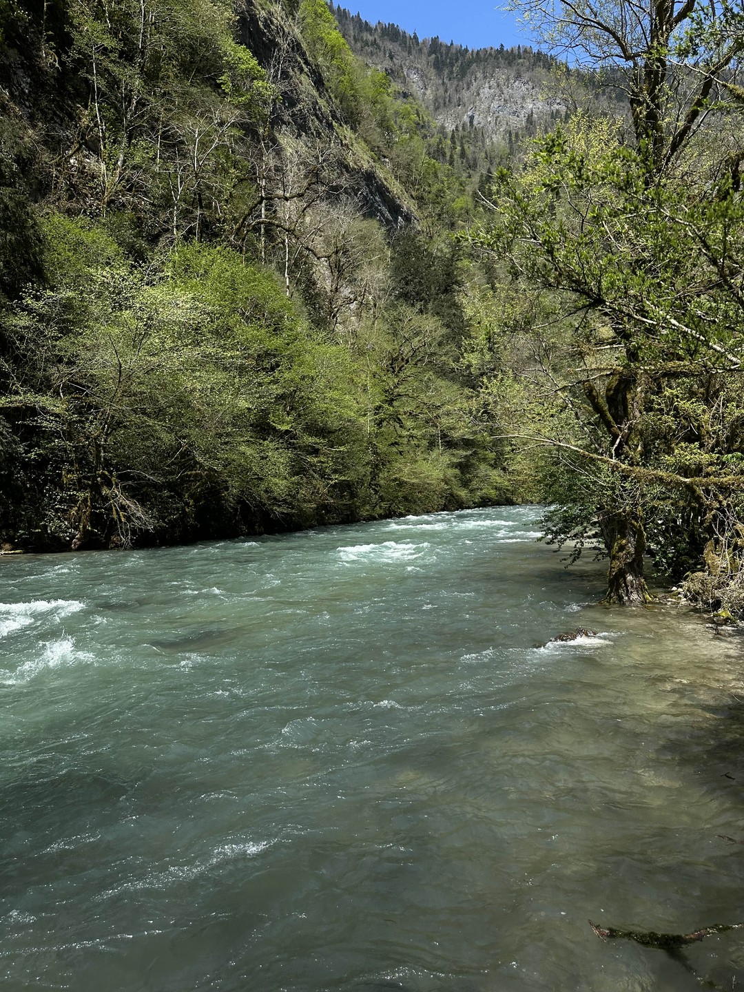 Приятный, интеллигентный гид.