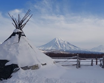 Активности на выбор и за доплату