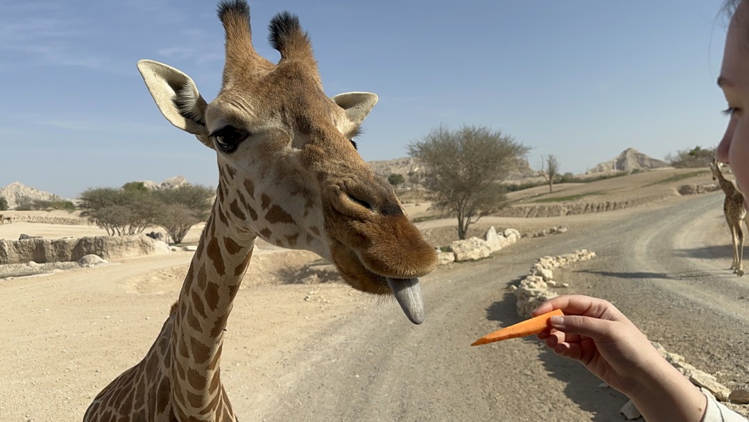 Отличное путешествие для тех, кому приелись мегаполисы
