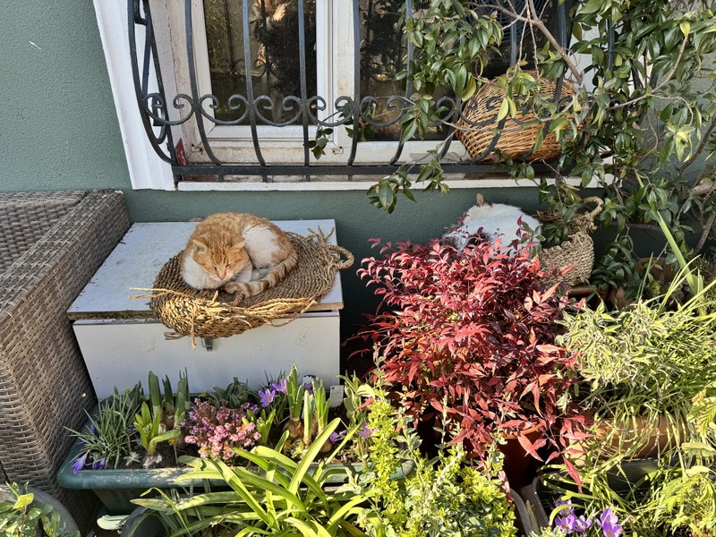 Скрытый Стамбул. Очень понравились места, которые были предусмотрены программой. не хватило информации от гида. Очень мало рассказывал