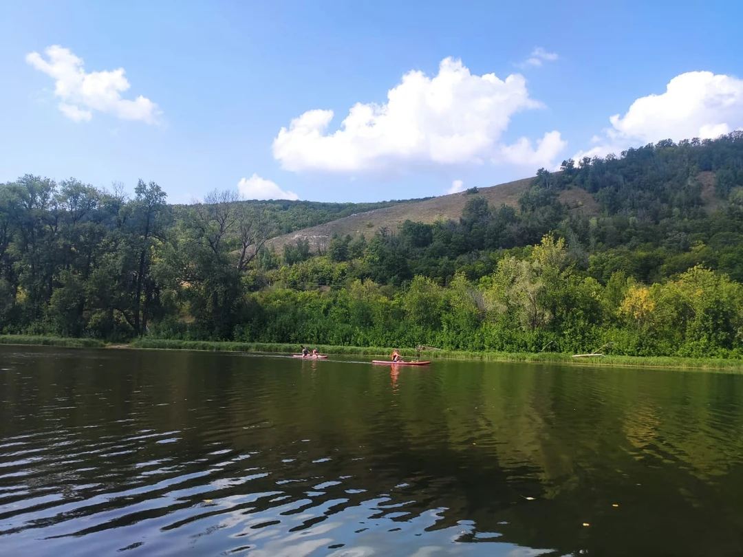 Красивое плавание по одному из протоков Волги. Минимальная физическая подготовка. Отсутствие опыта общения с сапами и