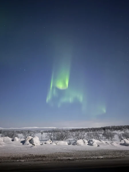 Северное сияние: увидеть главное чудо Заполярья (Оксана)