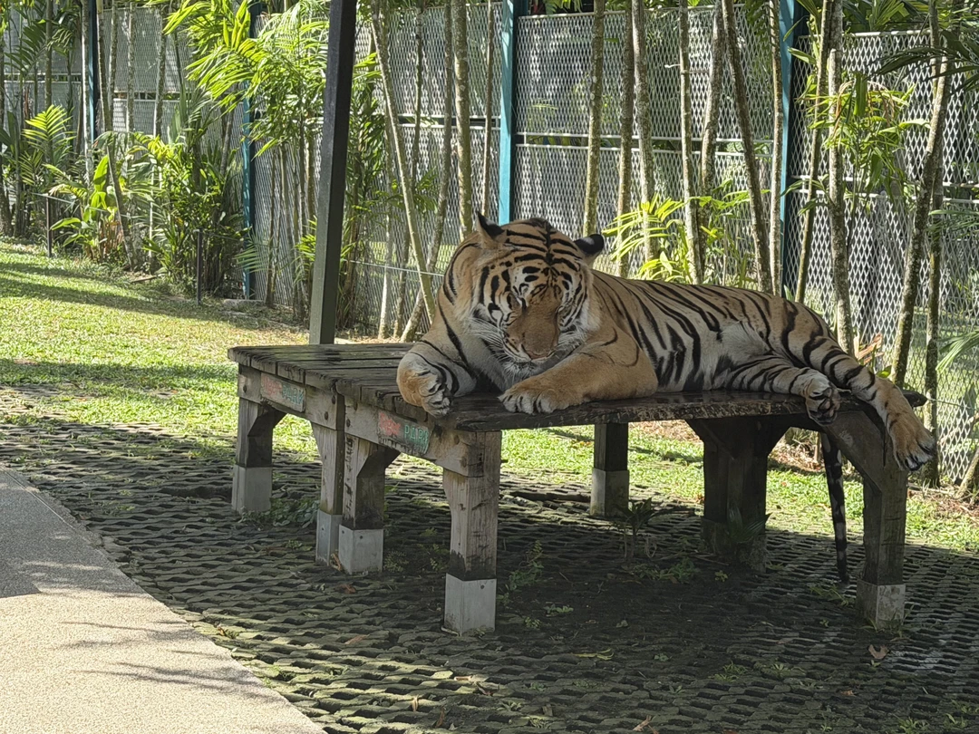 Экскурсию взяли в последний день перед вылетом, чтобы отшлифовать свои впечатления от Пхукета. Организация экскурсии на