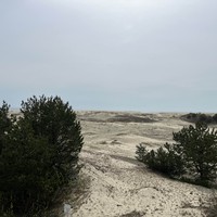 Фото отзыва 7: экскурсия "Куршская коса — природная сказка Балтики + курортный Зеленоградск"