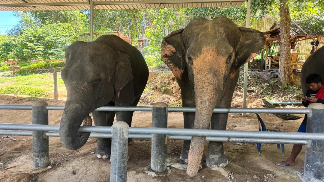 Настоящий Пхукет за 1 день (Женя)