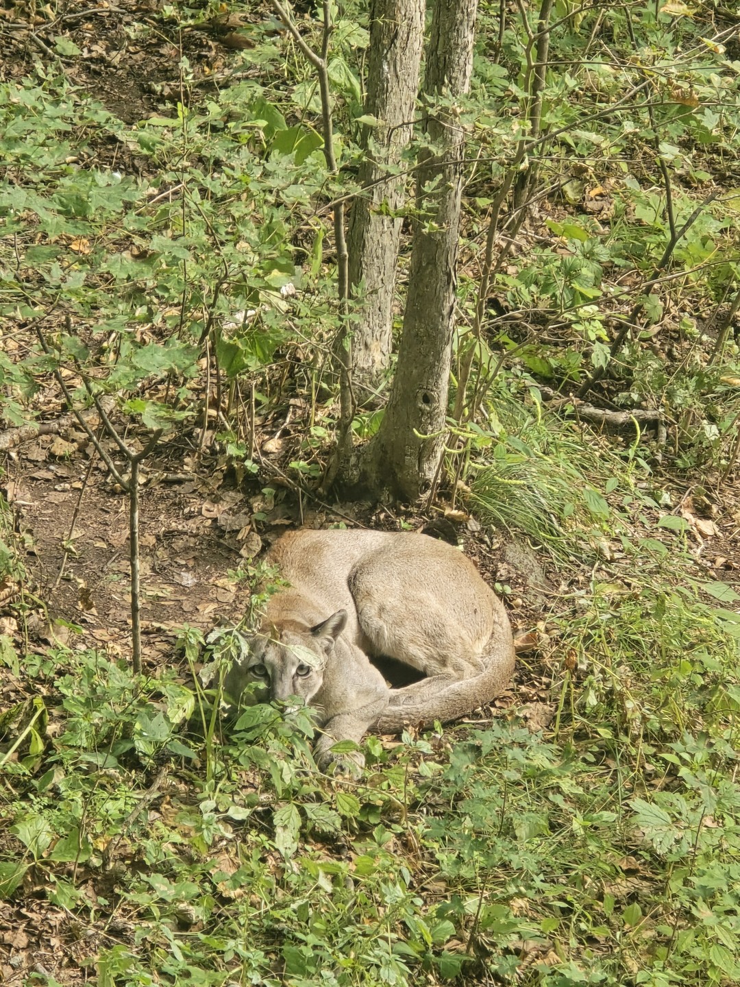 Гид/экскурсовод Анастасия