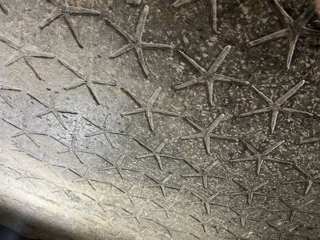 Исследуем Каир с детьми (Мария)