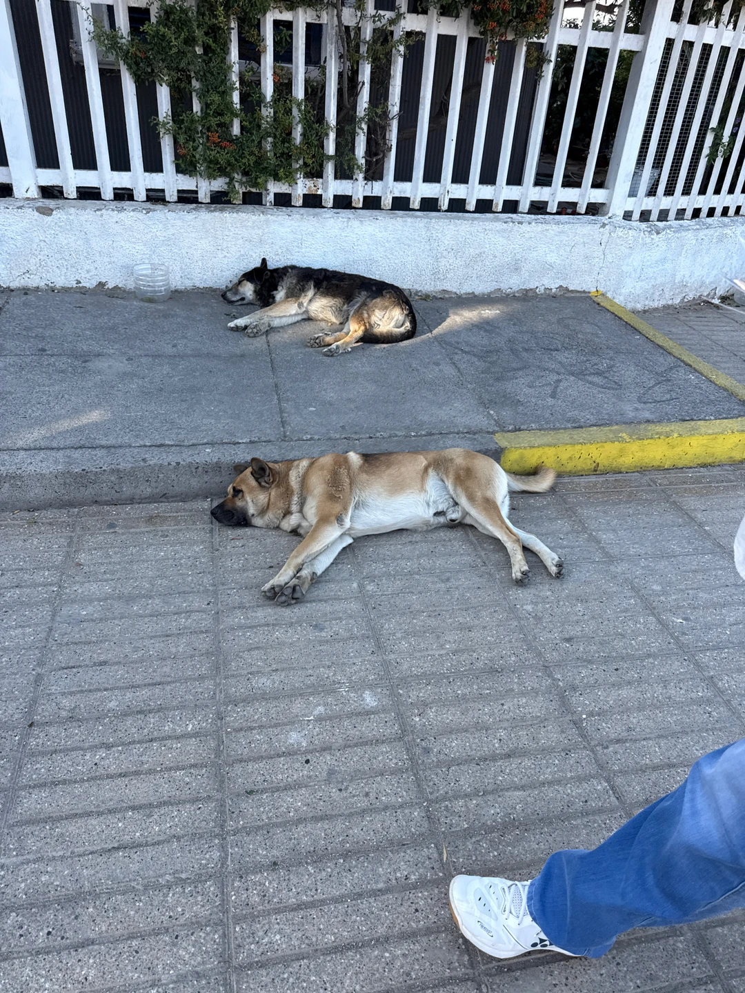 Путешествие превзошло наше ожидание! Все очень на высоком и качественном уровне,с вниманием ко всем мелочам и