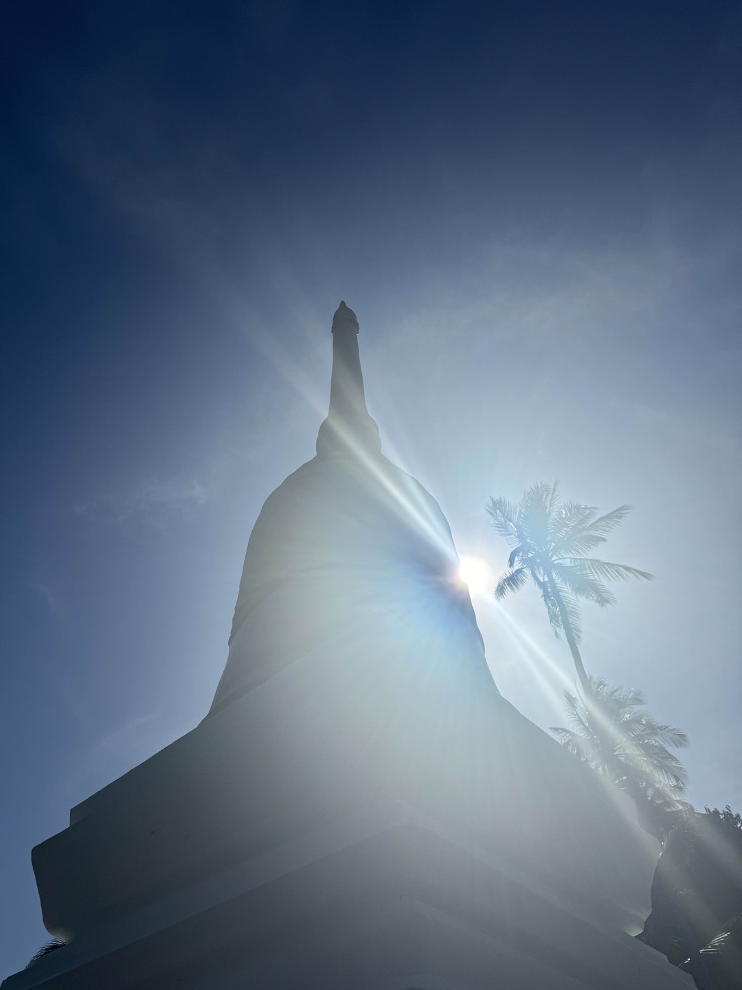 Отличная морская экскурсия. Словили рыбу, вкусный обед, отличные купания. Юрий шикарный гид