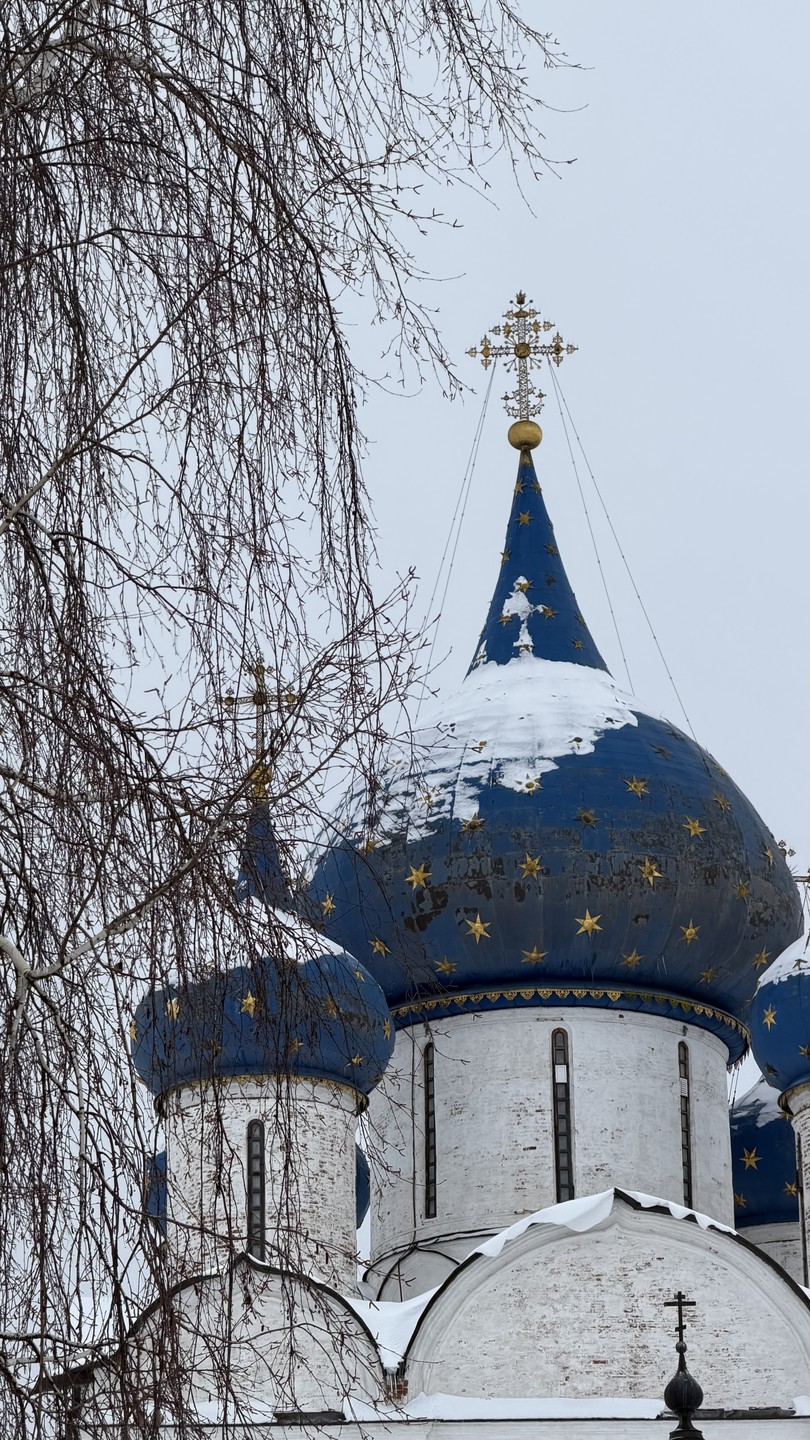 Осталась довольна экскурсией! Обязательно вернусь в Суздаль летом