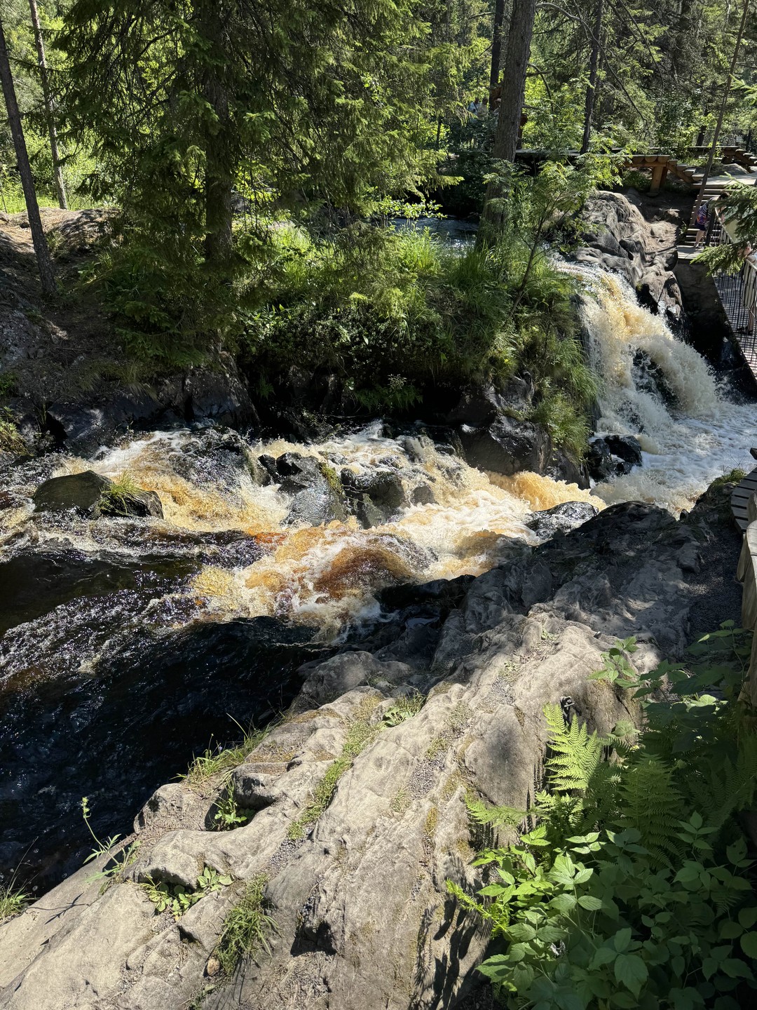 Сергей великолепный экскурсовод и рассказчик. Несмотря на то, что информации от него поступает очень много, всё
