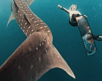 Сумбава: прибытие и знакомство с островом