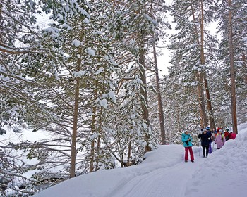 Ущелье реки Терскол