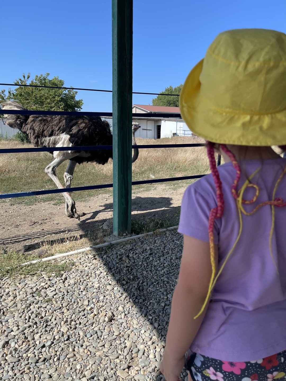 Детям 4 и 10 лет экскурсия понравилась, животных достаточно много, зоопарк для прогулок что надо! А