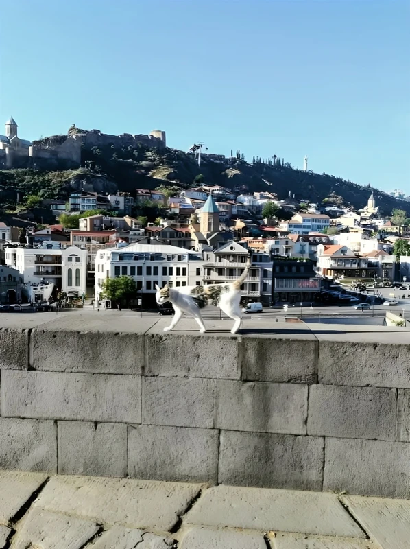 Ну как не полюбить Тбилиси