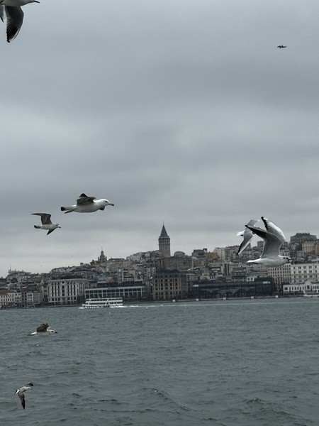 Неподражаемый Стамбул (Ольга)