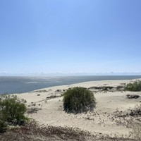 Фото отзыва 3: экскурсия "Утренняя Куршская коса, Зеленоградск и замок Нессельбек на автобусе"