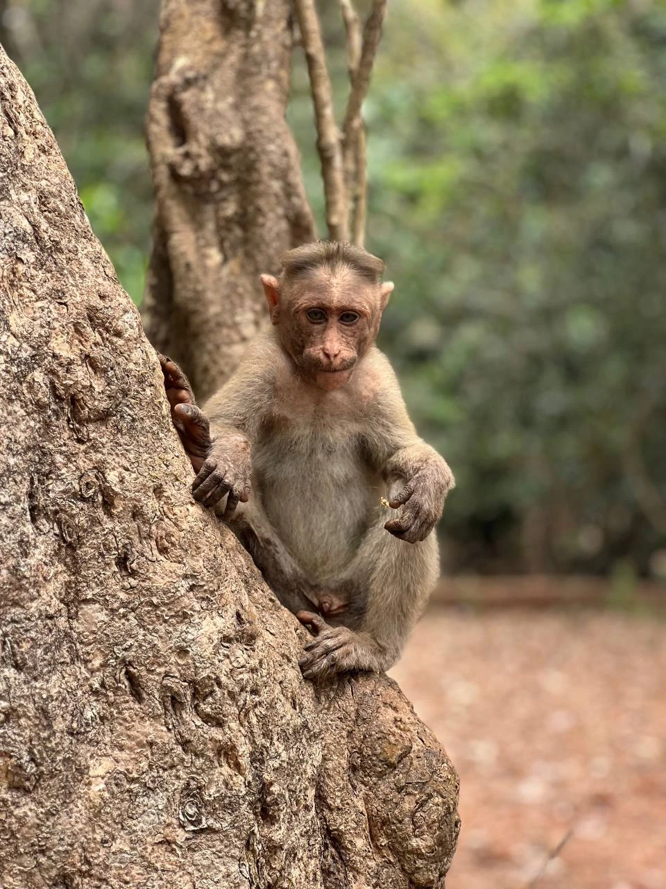 Огромное спасибо Наталье за чудесное приключение!