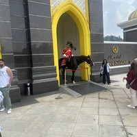 reviews img