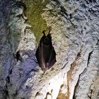 Фото отзыва 2: экскурсия ""