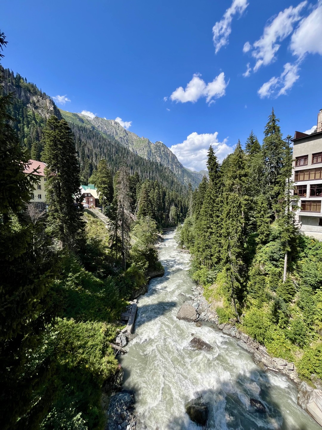 Домбай - край горных великанов и пихтовых лесов: поездка из Пятигорска (Светлана)