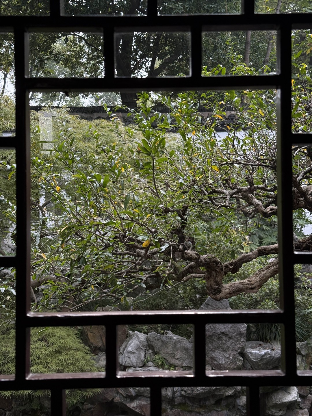 Спасибо большое Дмитрию за чудесную прогулку по Шанхаю. Дима подстроил маршрут под наши желания, рассказал и