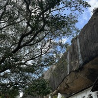 Фото отзыва 3: экскурсия "Must-see места Цейлона: Сигирия и Дамбулла"