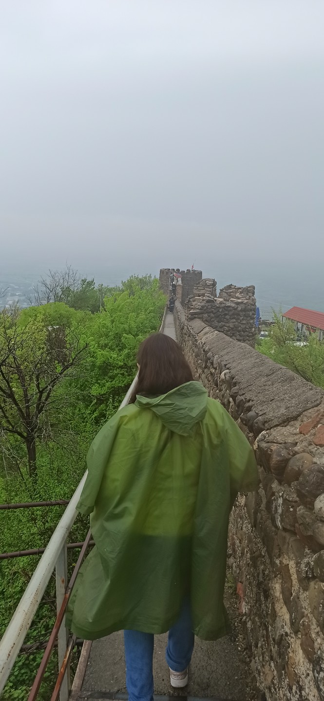 Экскурсия в Кахетию началась от грузинского театра оперы и балета вовремя. Группа была интернациональной, информация подавалась