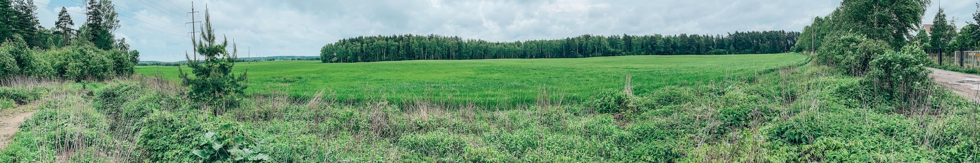 Черноголовка