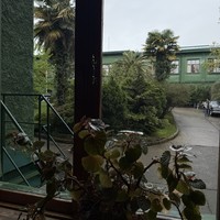 Фото отзыва 3: экскурсия "Впервые в Сочи"