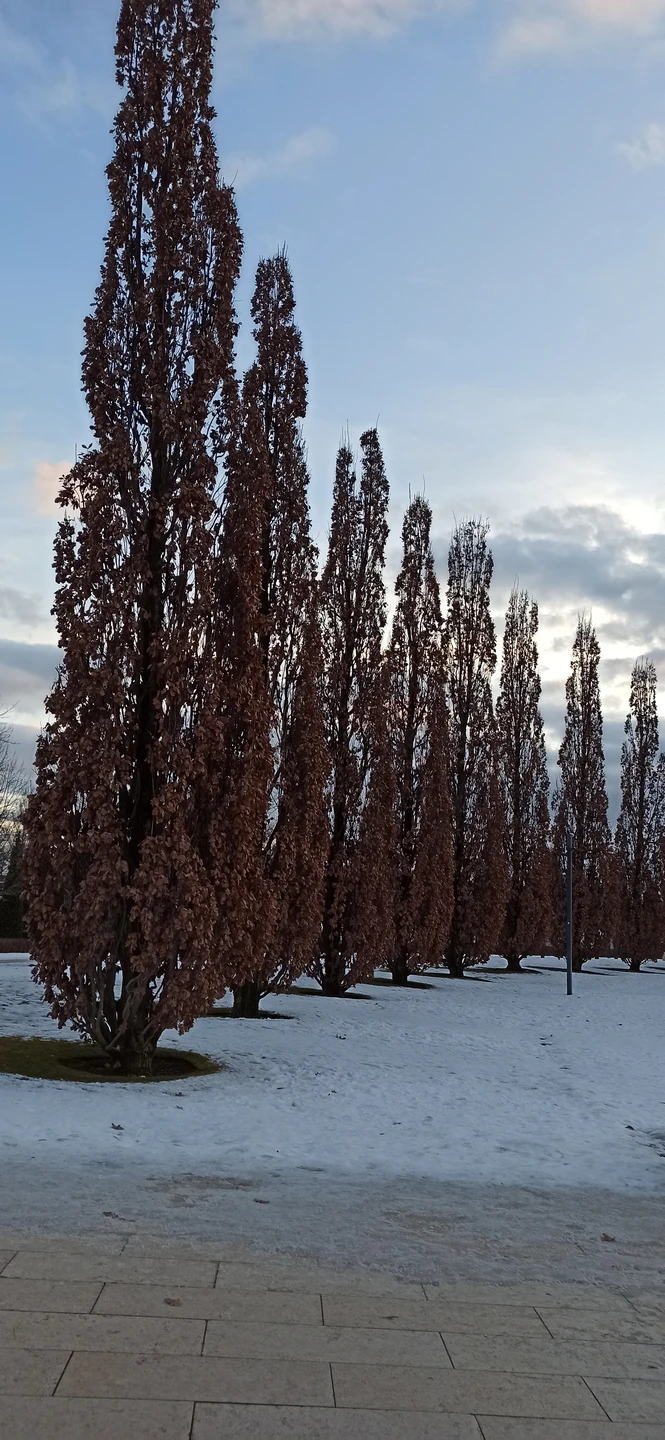 По Краснодару и парку Галицкого (пешком и на машине) (Светлана)