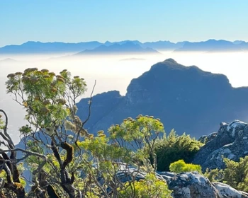 Открываем для себя Кейптаун