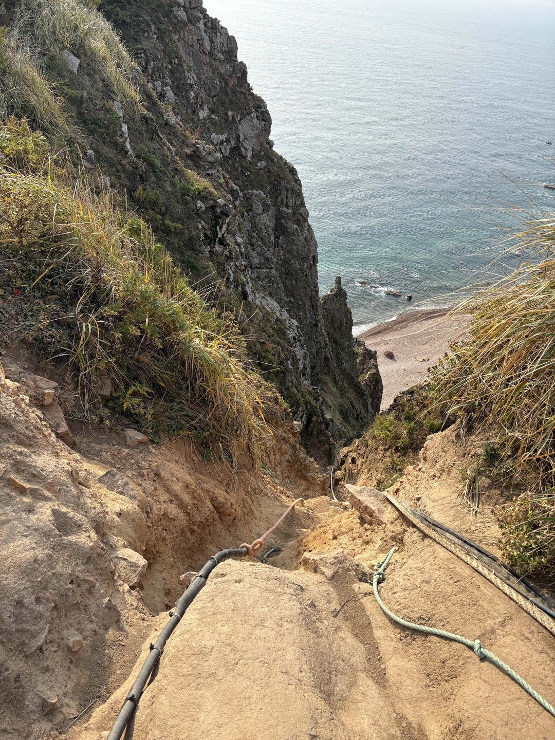 Морское приключение во Владивостоке: мыс Тобизина, котики и морепродукты (Татьяна)