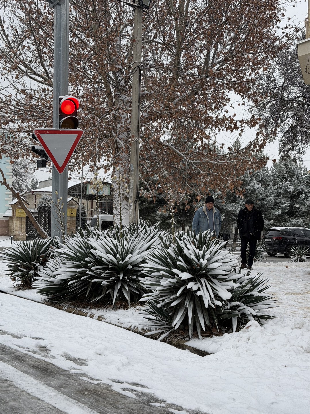 Экспресс-экскурсия по Самарканду (Мария)