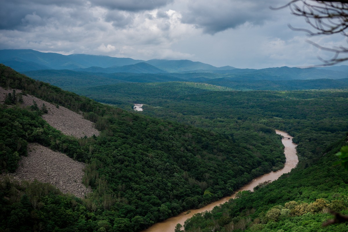 Ущелье Дарданеллы из Владивостока: река, тайга и горы (7/23)