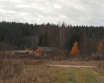 Через поля и лес к «Усадьбе Знаменское-Раёк»