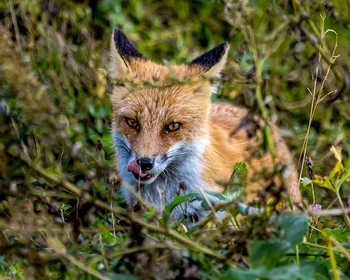 Бухта Дмитрова, свободное время и активность на выбор