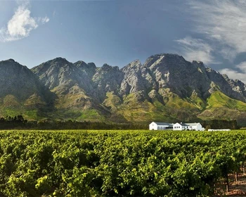 Долина Франшхук: посещение виноделен и знакомство с искусством дегустации