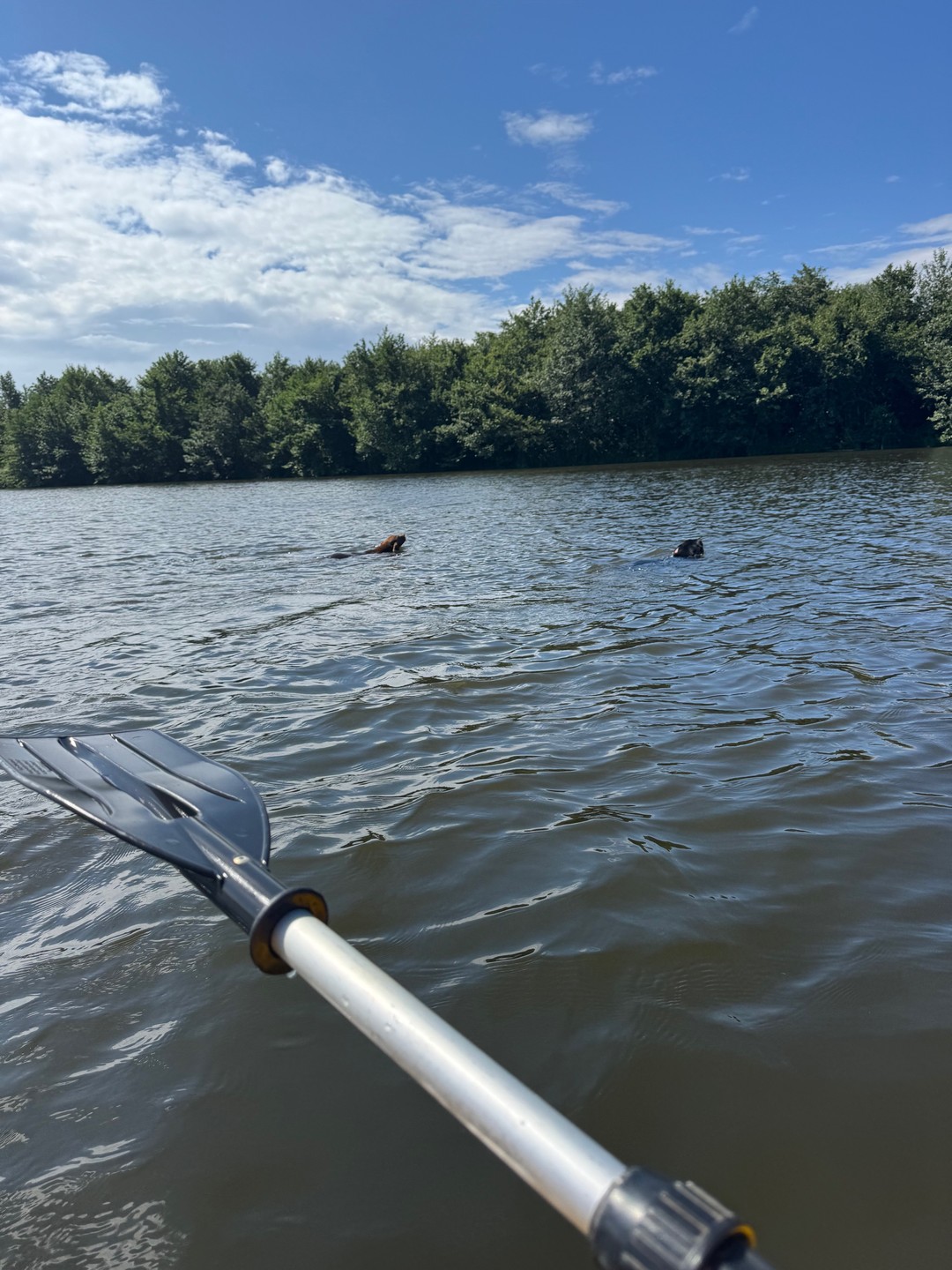Для тех кто любит активный отдых, особенно водные и вело-прогулки. Все прошло отлично, увлекательно и в