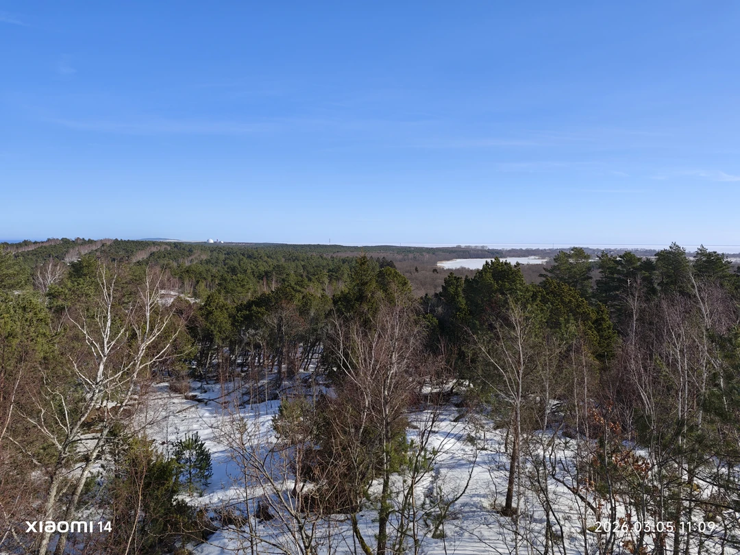 Куршская коса: земля древних куршей и великанши Неринги (из Калининграда) (Галина)