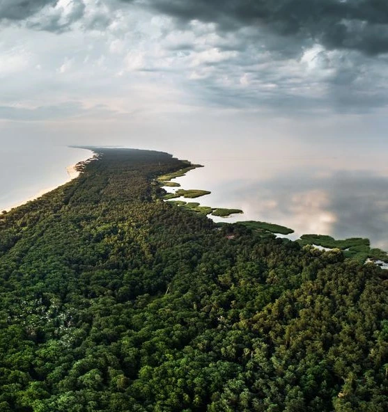 Куршская коса