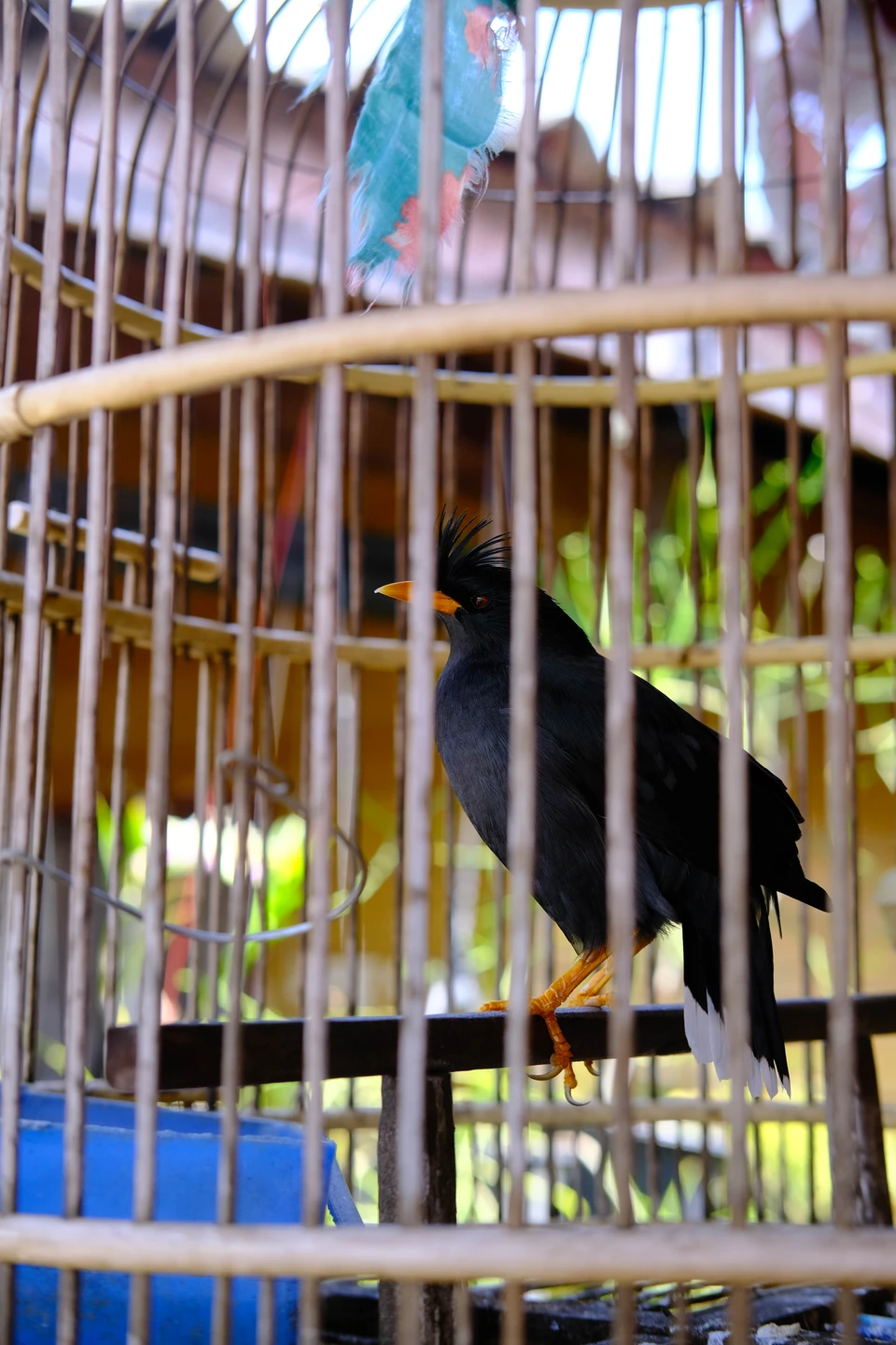 Экскурсия организована безупречно с инженерной точностью и вниманием к каждой детали. Вы не пожалеете ни о