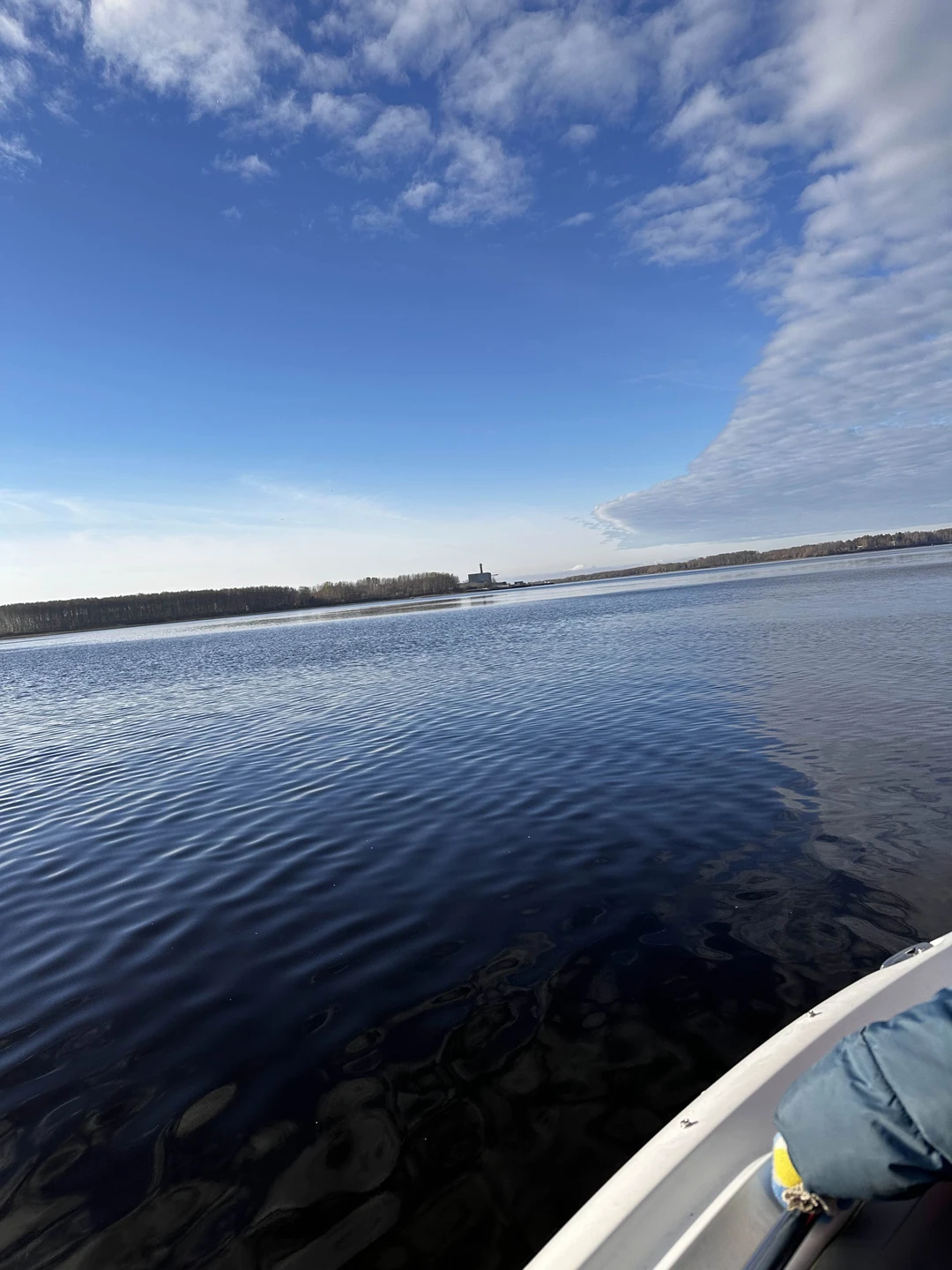 Отличная прогулка, посмотрели монумент мать Волга, услышали про корабли, про рыбу, надо сказать что нам очень