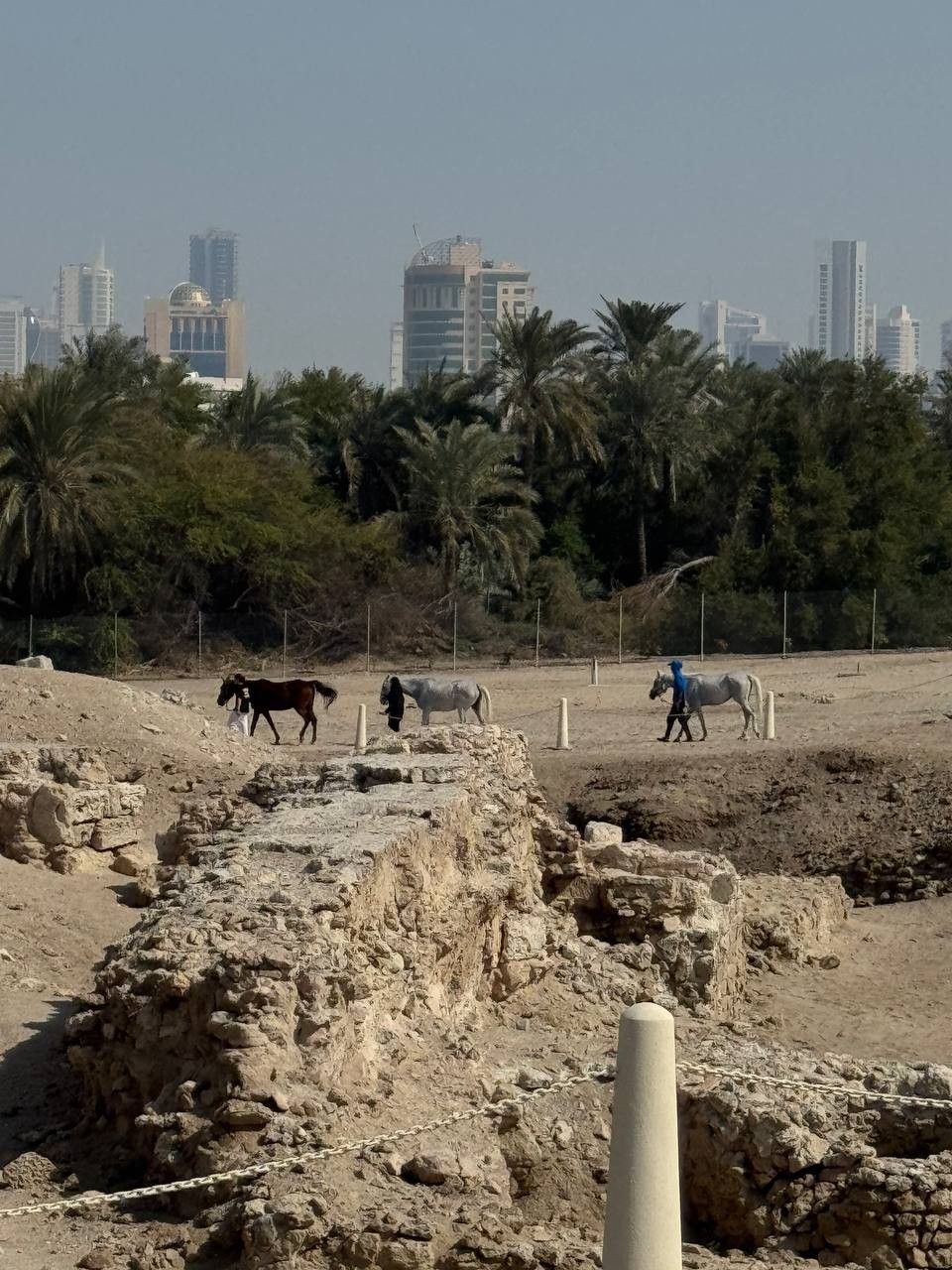Я обратилась к Татьяне за день до прибытия в Бахрейн, Татьяна смогла найти для нас индивидуального