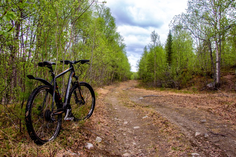 Фото отзыва 3: экскурсия "Посёлок Мурмаши и окрестности: дружеский велопоход"