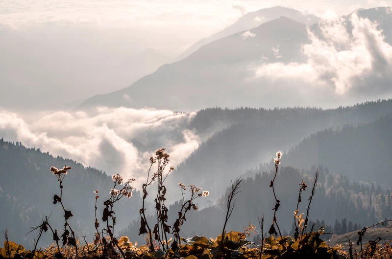 Индивидуальный треккинг-тур в окрестностях Красной Поляны