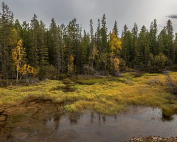 Фото отзыва 4: авторский тур "Первозданная Якутия: экспедиция вдоль русла реки Лены в период золотой осени"