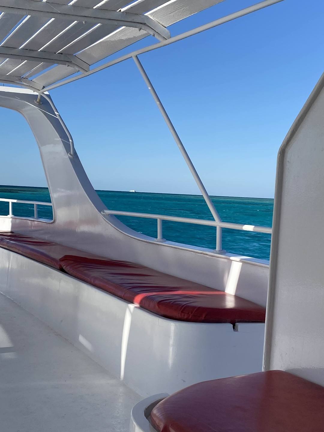 Индивидуальный дайвинг у берега Красного моря (Анастасия)