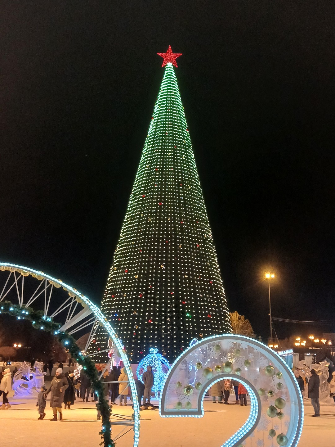 Экскурсия отлично, Ирина спасибо большое, показала все ёлки города, очень красиво. Город весь в огнях нам очень понравилось!